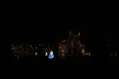 DSC_6759 (Large).JPG